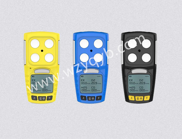 便攜(xie)式氣(qi)體檢(jian)測儀(yi)多組(zu)分