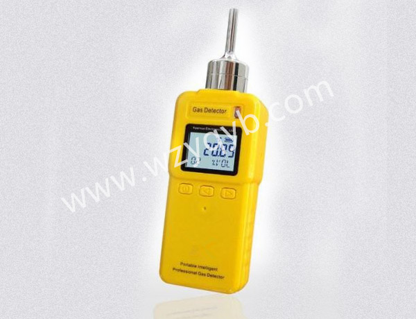 便攜(xie)式氣(qi)體檢(jian)測儀(yi)